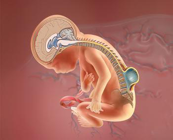 一飞冲天300倍游戏(中国游)·官方网站