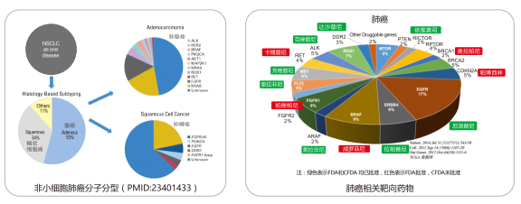 一飞冲天300倍游戏(中国游)·官方网站