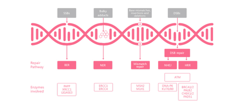 一飞冲天300倍游戏(中国游)·官方网站