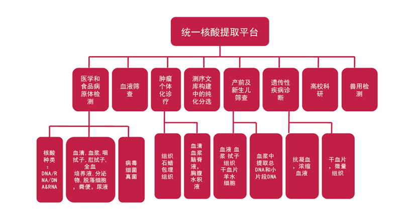 一飞冲天300倍游戏(中国游)·官方网站