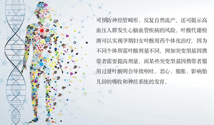 一飞冲天300倍游戏(中国游)·官方网站