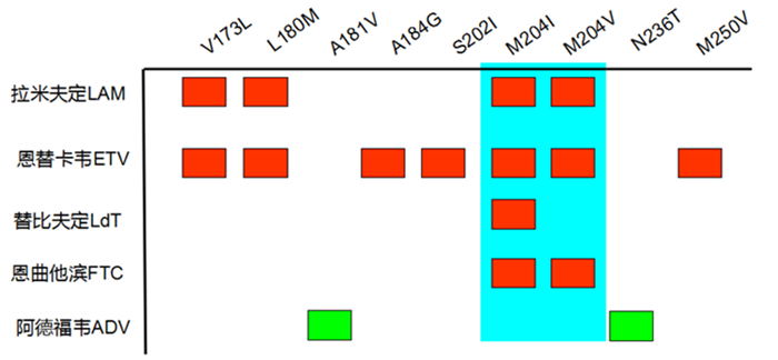 一飞冲天300倍游戏(中国游)·官方网站