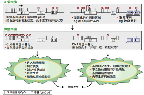 一飞冲天300倍游戏(中国游)·官方网站