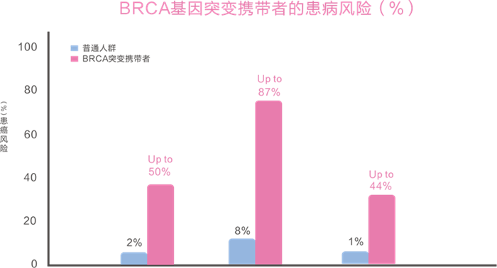 一飞冲天300倍游戏(中国游)·官方网站