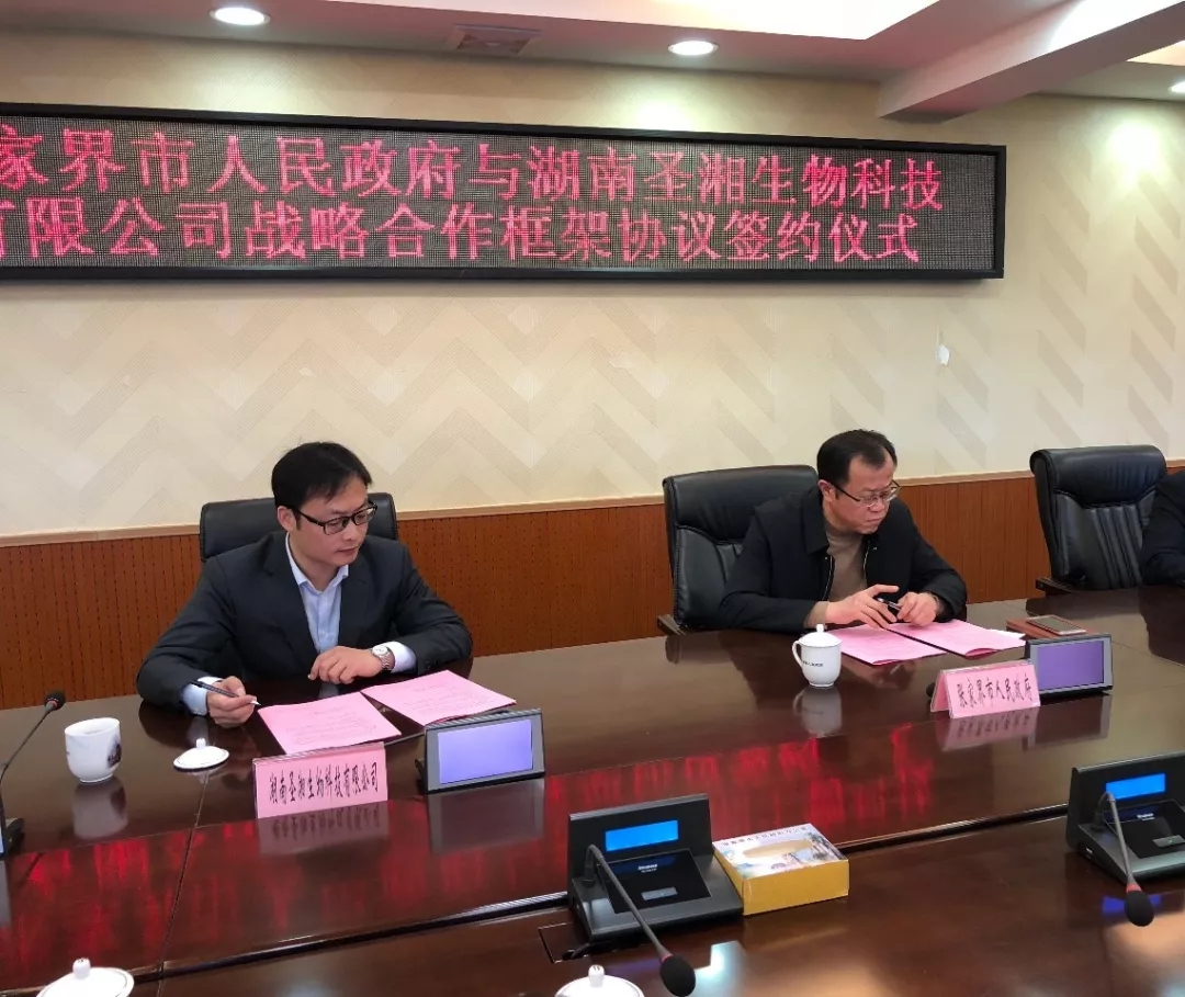 一飞冲天300倍游戏(中国游)·官方网站