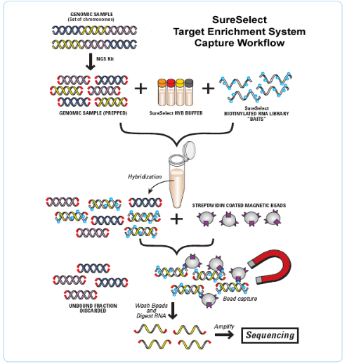 一飞冲天300倍游戏(中国游)·官方网站