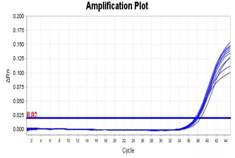 一飞冲天300倍游戏(中国游)·官方网站