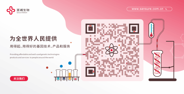 一飞冲天300倍游戏(中国游)·官方网站