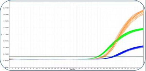 一飞冲天300倍游戏(中国游)·官方网站