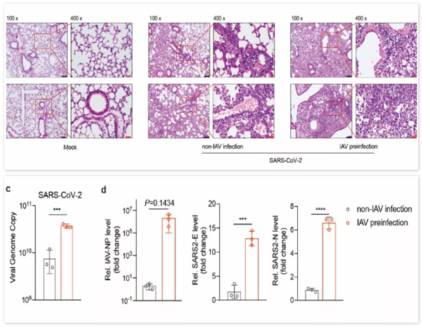 一飞冲天300倍游戏(中国游)·官方网站
