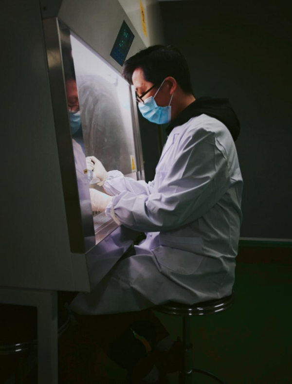 一飞冲天300倍游戏(中国游)·官方网站