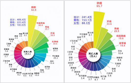 一飞冲天300倍游戏(中国游)·官方网站