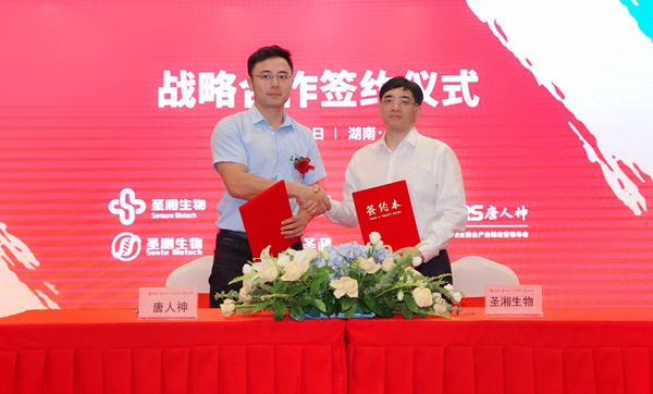 一飞冲天300倍游戏(中国游)·官方网站