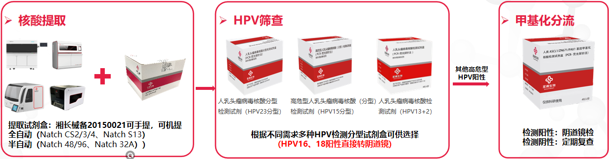 一飞冲天300倍游戏(中国游)·官方网站