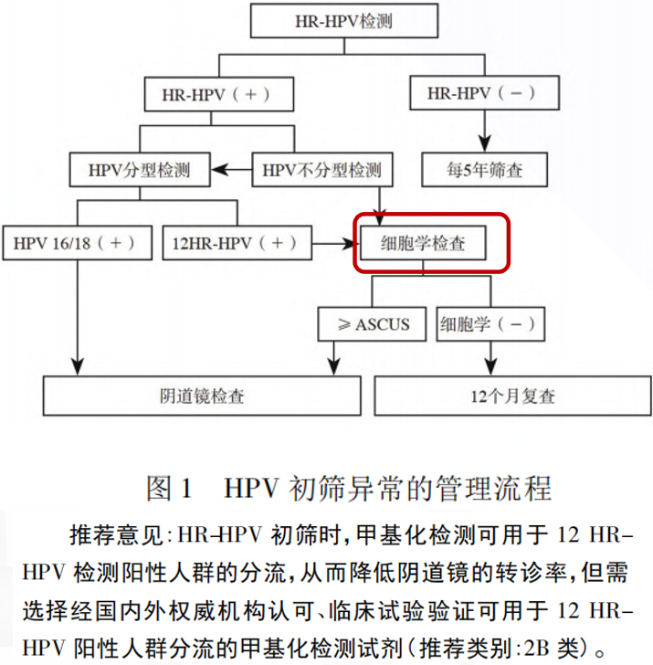 一飞冲天300倍游戏(中国游)·官方网站
